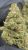 Grapes and Cream – THCA FLOWER – CLASSIC RESERVE