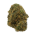 Green Goblin (THCA 29.8%)