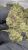 Hash Burger – THCA FLOWER – TOP SHELF