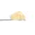 Honey Banana Sherb Rosin | SimplyMary