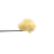 Honey Papaya Premium Live Rosin – Shop Hello Mary