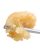 Ice Cream Cake Live Rosin – THCA Concentrate – Treemason