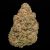 Ice Cream Waffle Cone – 24% THCa Hydro Hemp Flower