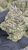 Jelly Breath – THCA FLOWER – EXOTIC INDOOR