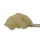 Jungle Juice Rosin – Shop Hello Mary