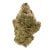 Lazer Gun (Indoor) | Preston Herb Co