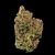 Legendary Jack Herer