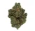 LEMON LUSH (INDOOR) THC-A Hemp Flower | Black Tie CBD