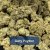 Living Soil Smalls
