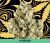 Machiavelli Kush THCa Flower T1+ – Crysp