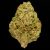 MMOG – 24% THCA Indoor Hemp Flower