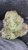 Mochi – THCa SMALLS Exotic Flower – 1/2 Ounce