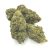 New Harvest Machine Trimmed Hemp Flower (1 oz)