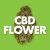 Order Premium CBD Hemp Flower by 25 Hour Farms