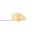 Papaya Rosin | SimplyMary