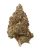 PEANUT BUTTER BREATH (INDOOR) THC-A Hemp Flower | Black Tie CBD