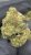 Platinum Gushers – THCA – TOP SHELF