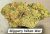 Slippery When Wet THCa Hemp Flower