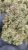 Slurricane X Grease Monkey – THCA FLOWER – CLASSIC RESERVE