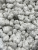 Snow Caps Bigs (75%+ Potency)