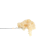 Sour Diesel Rosin | SimplyMary
