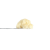 Sour Spritzer Rosin | SimplyMary