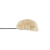 Strawberry Waffles Rosin | SimplyMary