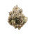 Stuffed Cherry Gelato THCa Flower | HelloMary