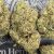 Sunset Sherbet | The Southern Hemp Collective