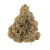 Tangie Dream (6.99% THCA & 9.3% CBDA)