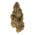 Thai Stick Indoor Living Soil (44.90% THCA)
