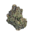 THCa Flower – Gush Mintz – CBD Hemp Direct