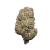 THCa Flower – Pina Colada – CBD Hemp Direct