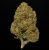 Triple Burger – 24% THCA Indoor Hemp Flower