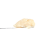 Wavez Rosin | SimplyMary