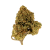 White Widow (THCA 37.40%)