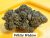 White Widow THCa Hemp Flower