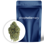 TKO OG Smalls - Shop Hello Mary