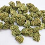Cheetah Piss Smalls ( Indoor ) Hybrid