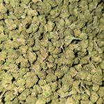 Dirty Sprite Indoor Smalls