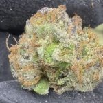 Gumbo - THCa Exotic Flower - LIL TREES 1/2 Ounce