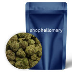 Red-lato Smalls - Shop Hello Mary