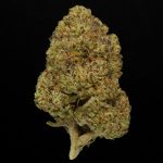 Triple Burger - 24% THCA Indoor Hemp Flower