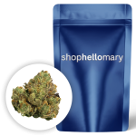 Zerbert Premium - Shop Hello Mary