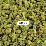 AK 47 THCa Hemp Flower Smalls