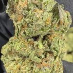 Apple Fritter - THCA FLOWER - CLASSIC RESERVE