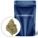 Chapel of Love ~ Greenhouse - Shop Hello Mary
