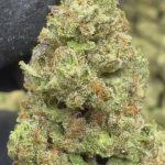Grapes and Cream - THCA FLOWER - CLASSIC RESERVE