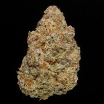 Ice Cream Waffle Cone - 24% THCa Hydro Hemp Flower