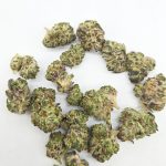 Oreoz Smalls ( Indoor ) Hybrid